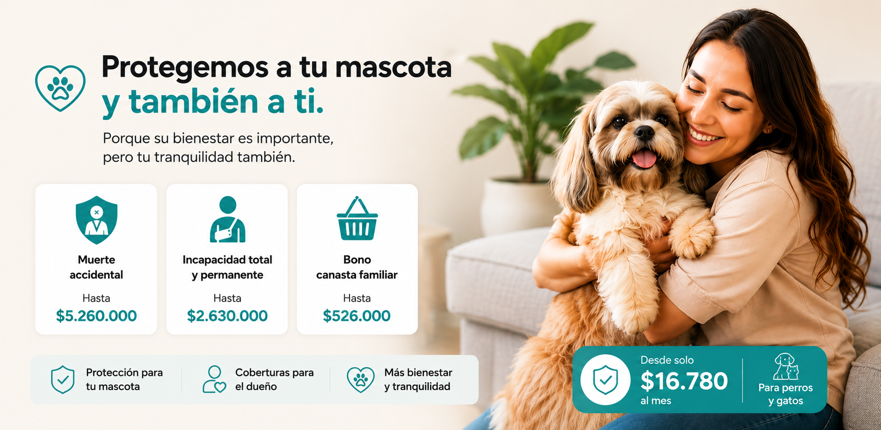 seguros seguros